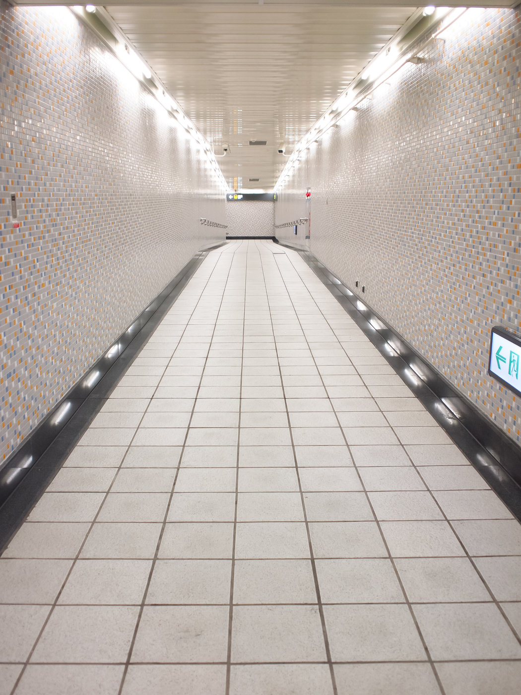 Grout & Tile 1