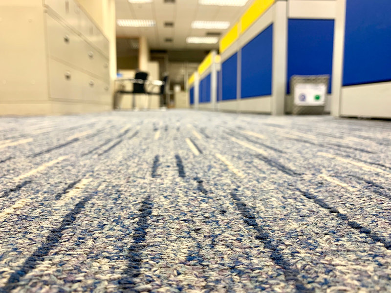 Carpet care